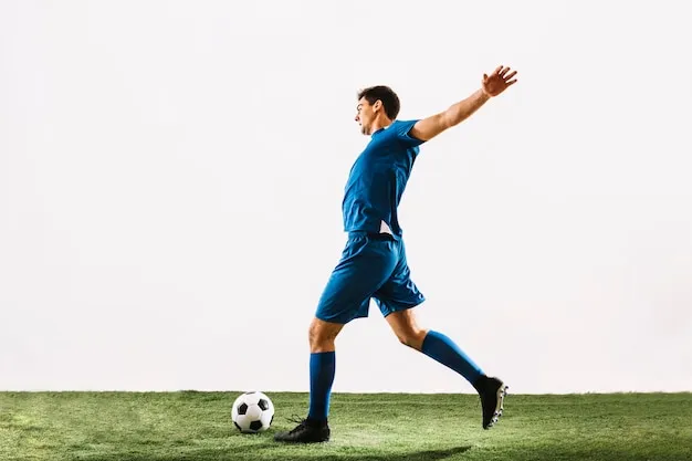 天博体育VIP官网丨高品质体育体验与官方入口